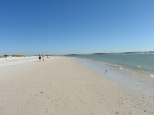 Looking for private beach wedding locationin Dunedin Clearwater FL