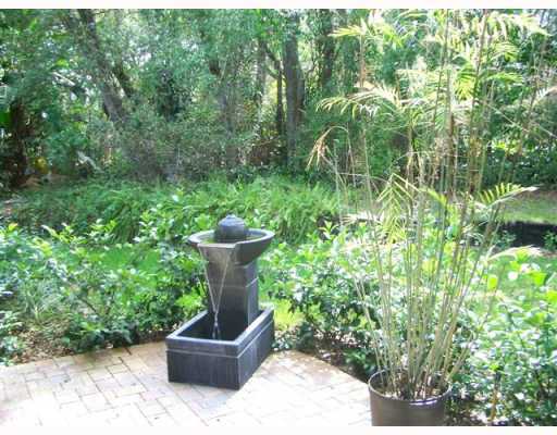 Tranquil Garden in Safety Harbor